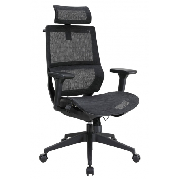 BF01 班夫人體工學全網椅.jpg