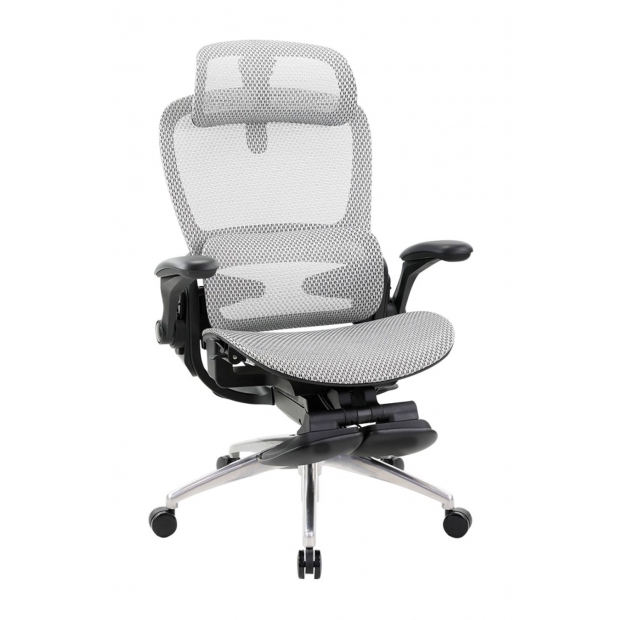 BX01 比克人體工學全網椅.jpg