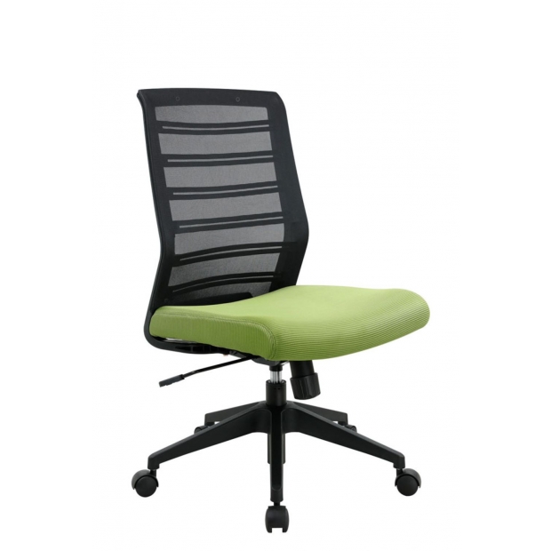 RI06 瑞愛網椅.jpg