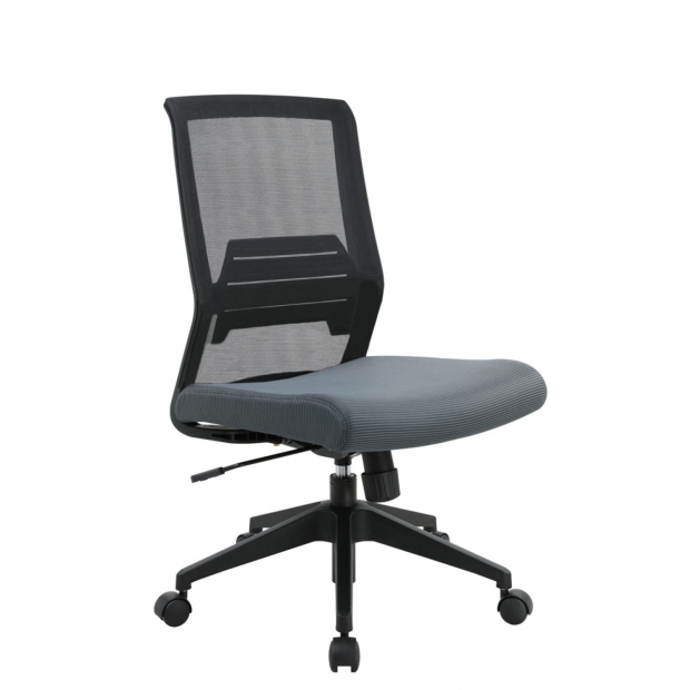 RI09 瑞愛固定手網椅.jpg